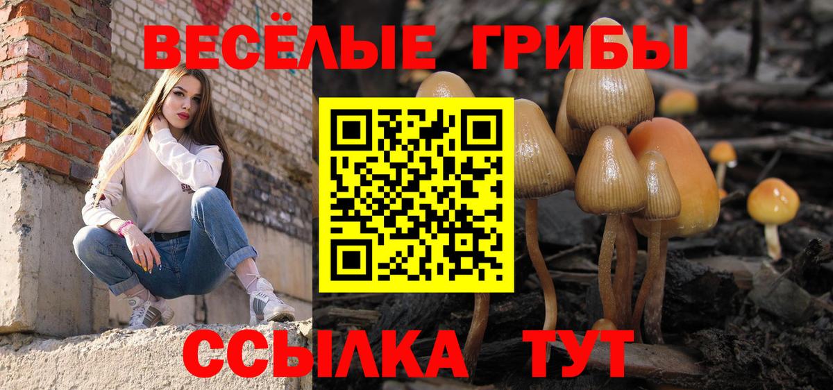 Галлюциногенные грибы ЛСД Сосновый Бор